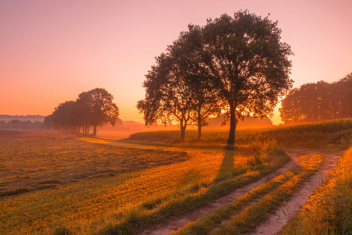 Voorjaar in Nijmegen