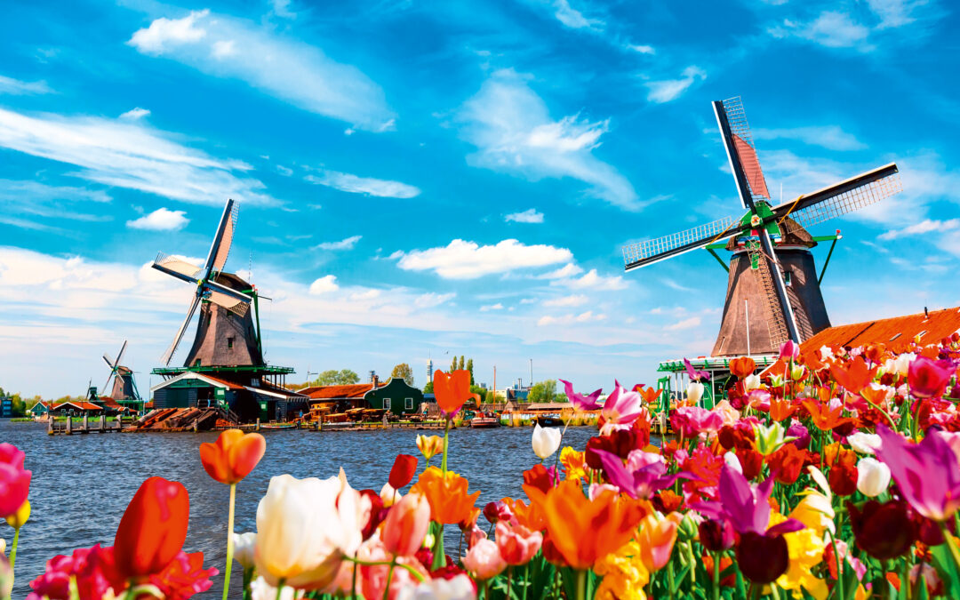 Kindererdijk Leuke feitjes in Nederland Nijmegen website