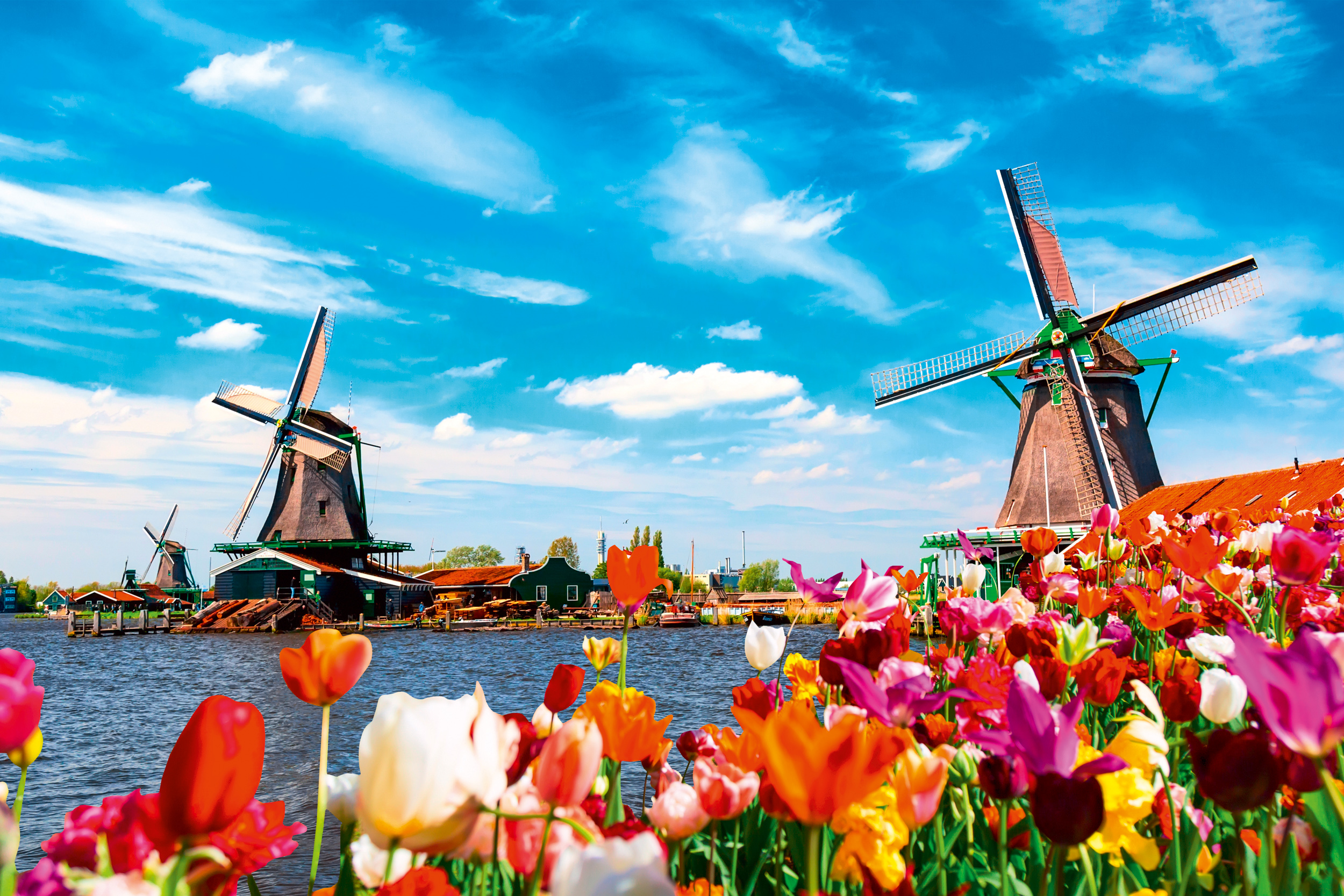 Kindererdijk Leuke feitjes in Nederland Nijmegen website