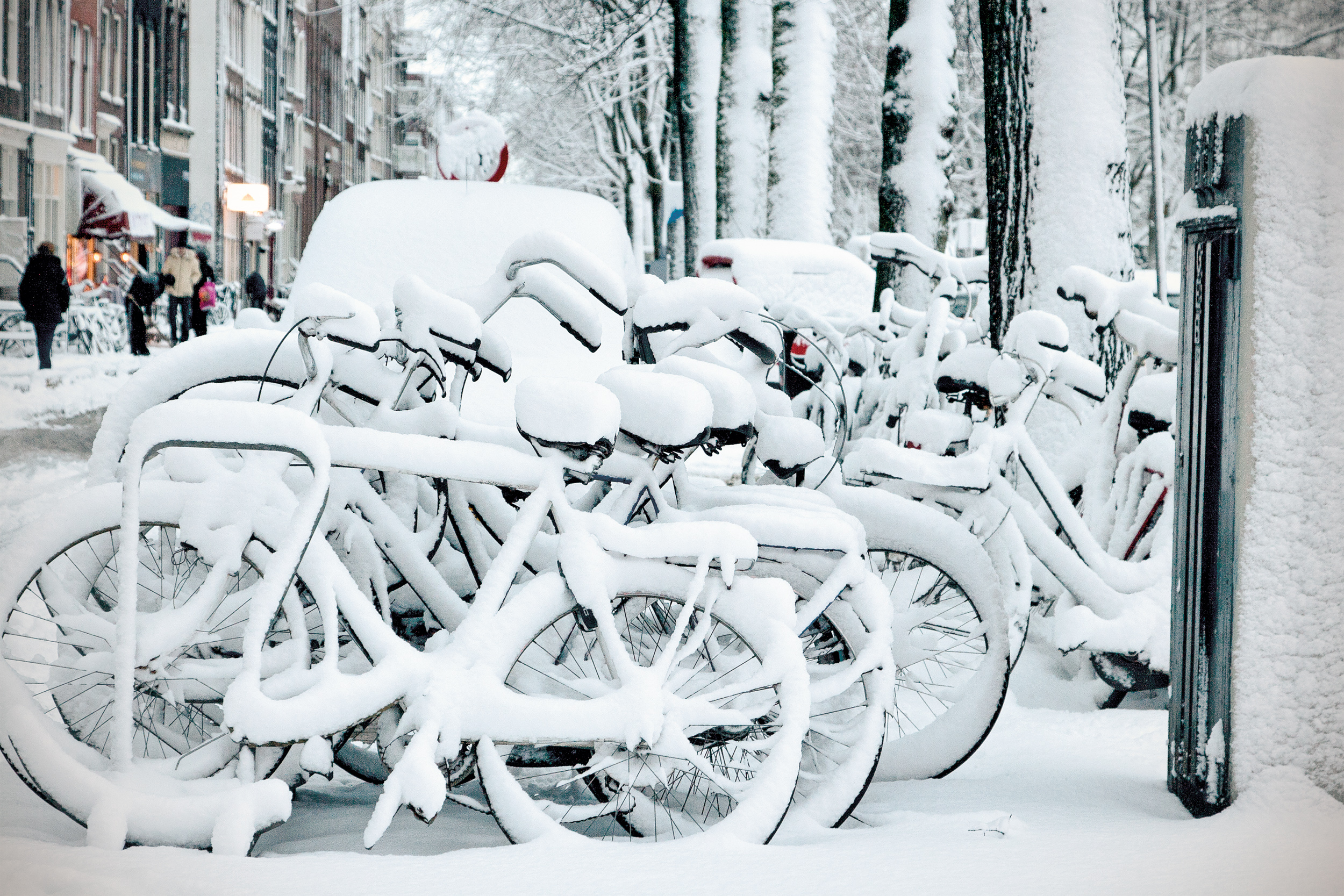 IMG_3156 Nederlandse fietsen